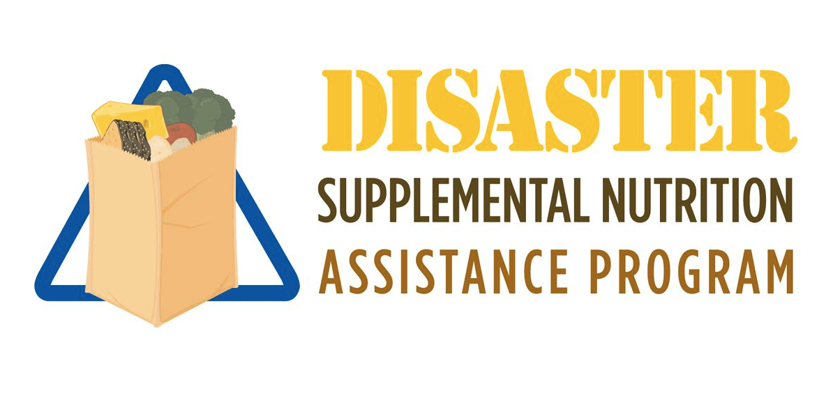 Disaster Food Stamps - Navigating The Application Process